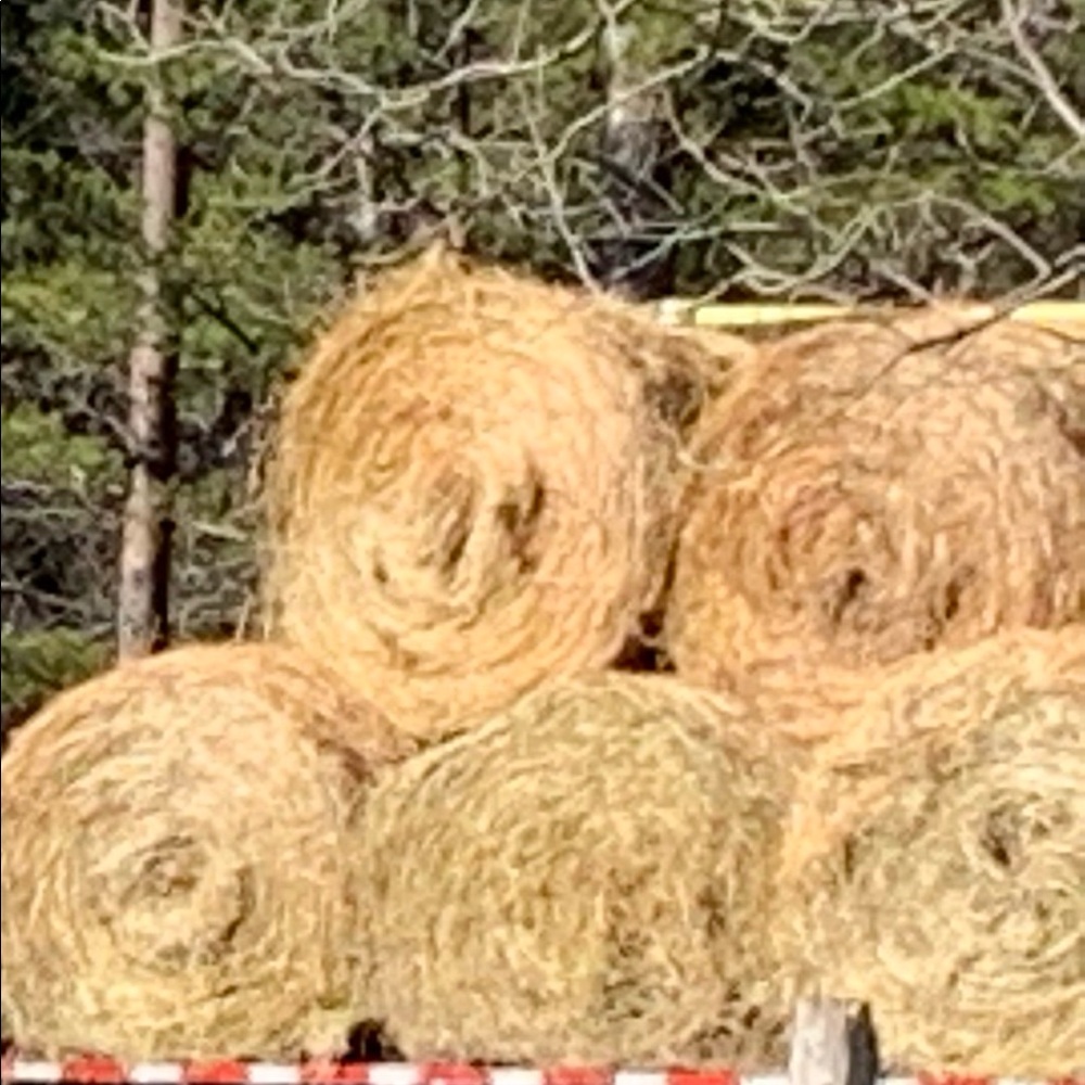 Meet your Posher, Ken